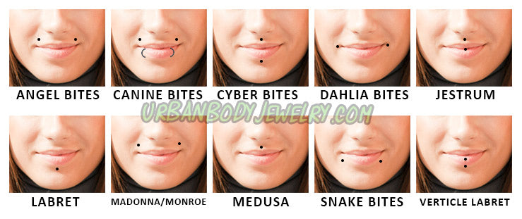 Lip piercing chart: angel, canine, cyber, dahlia and snake bites, jestrum, labret, Madonna/Monroe, medusa, vertical labret