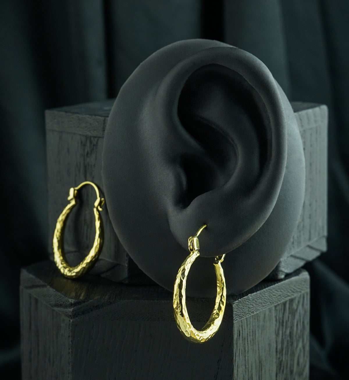 Anthozoan Brass Plug Hoops