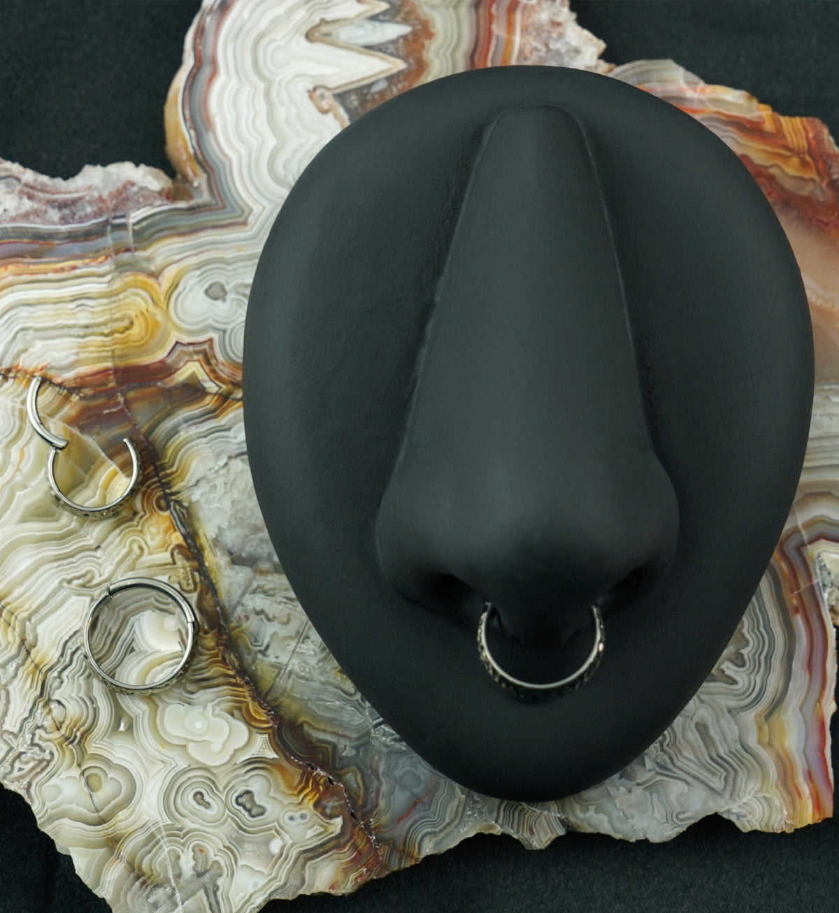 Anthozoan Titanium Hinged Segment Ring