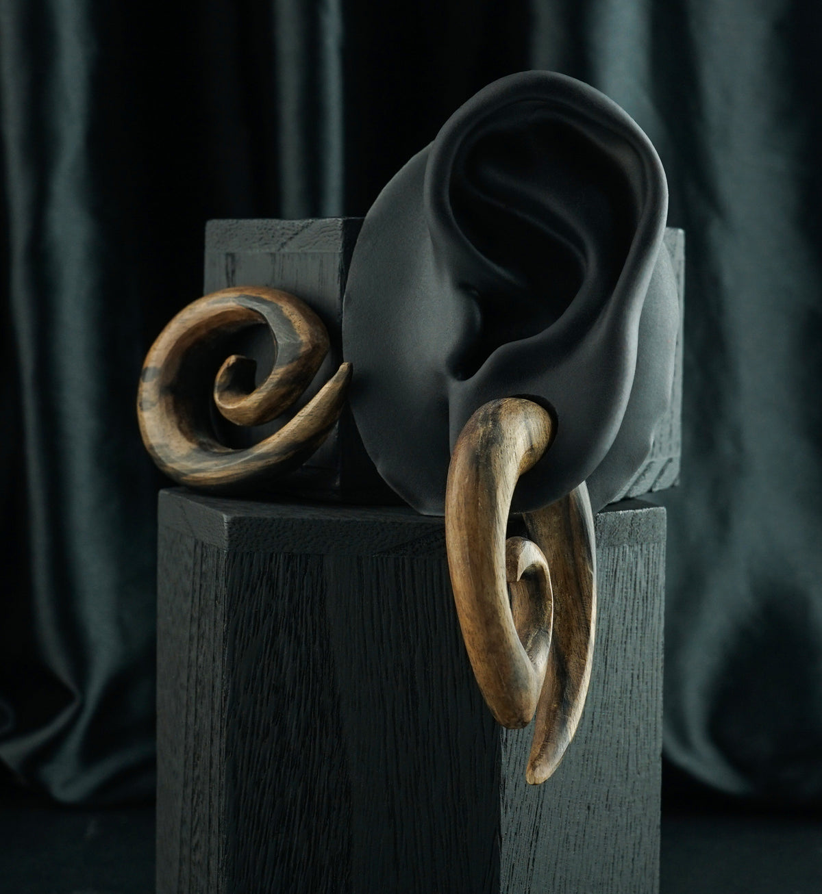 Areng Wood Oval Spirals, shown in the lobe of a black display ear