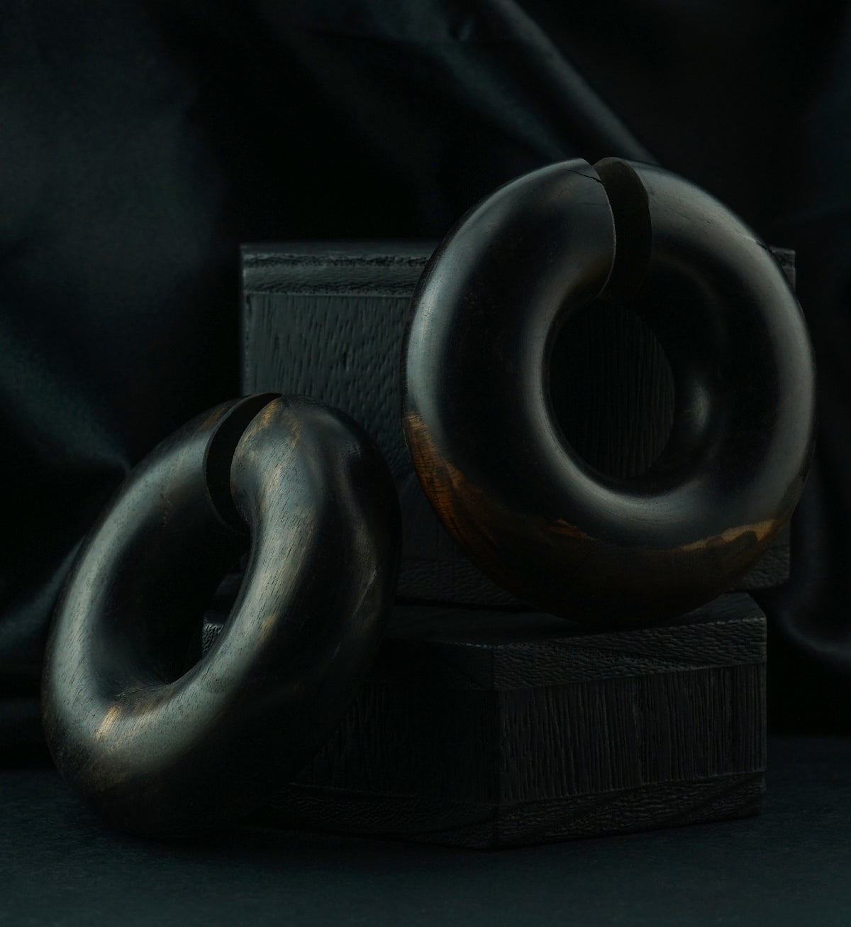 Areng Wooden Hoop Plugs