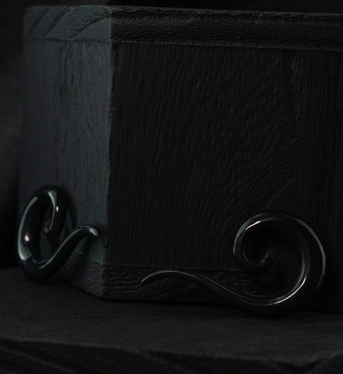 Black Horn Tail Semi-Spirals