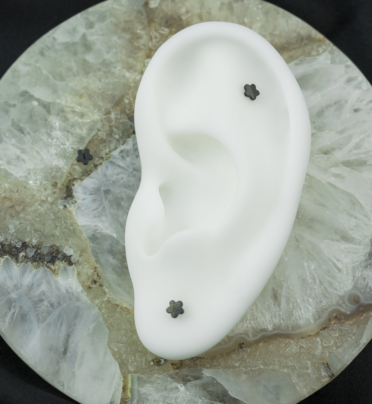 Black PVD Bubble Flower Titanium Threadless Top