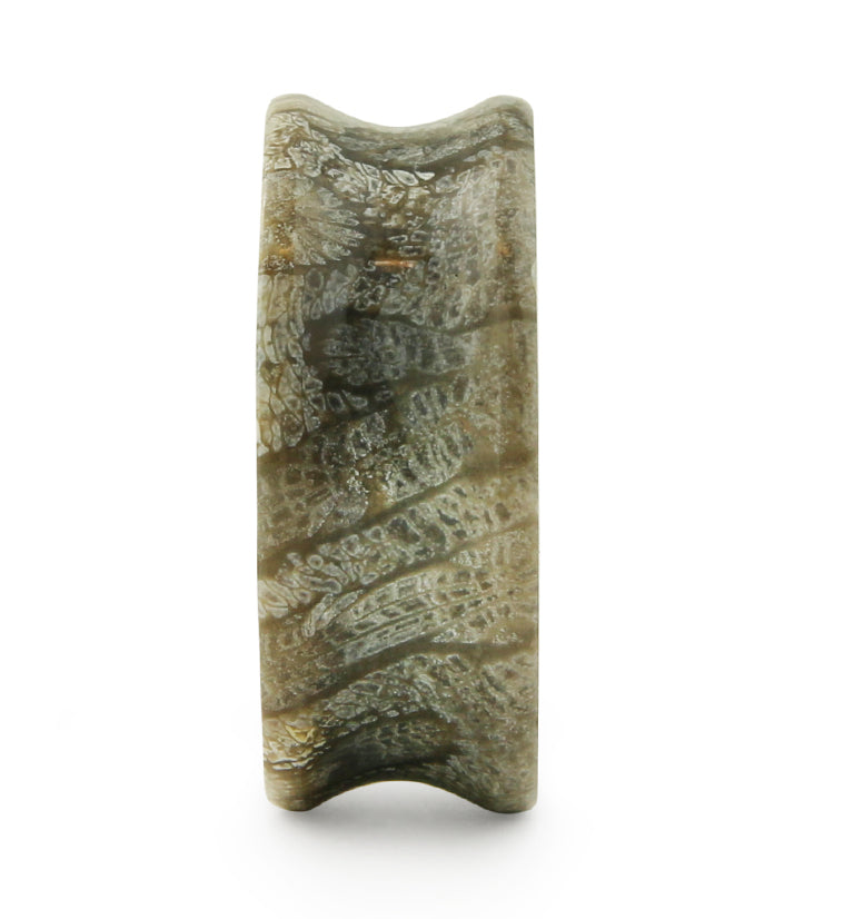 Blue Fossilized Coral Stone Plugs