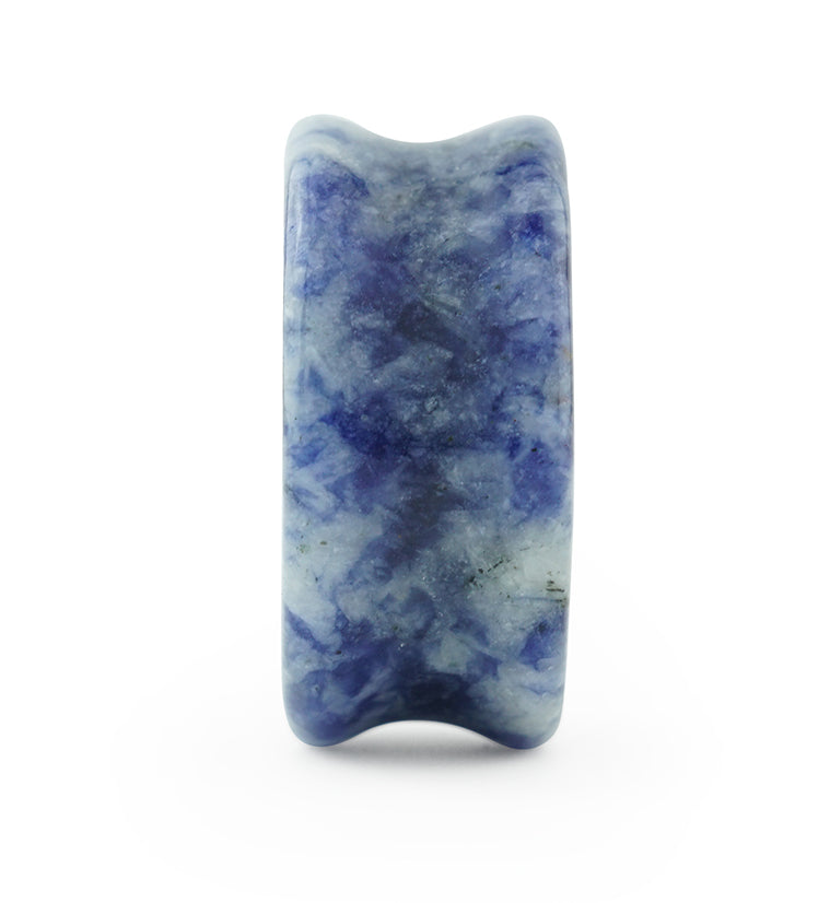 Blue Spot Jasper Stone Plugs