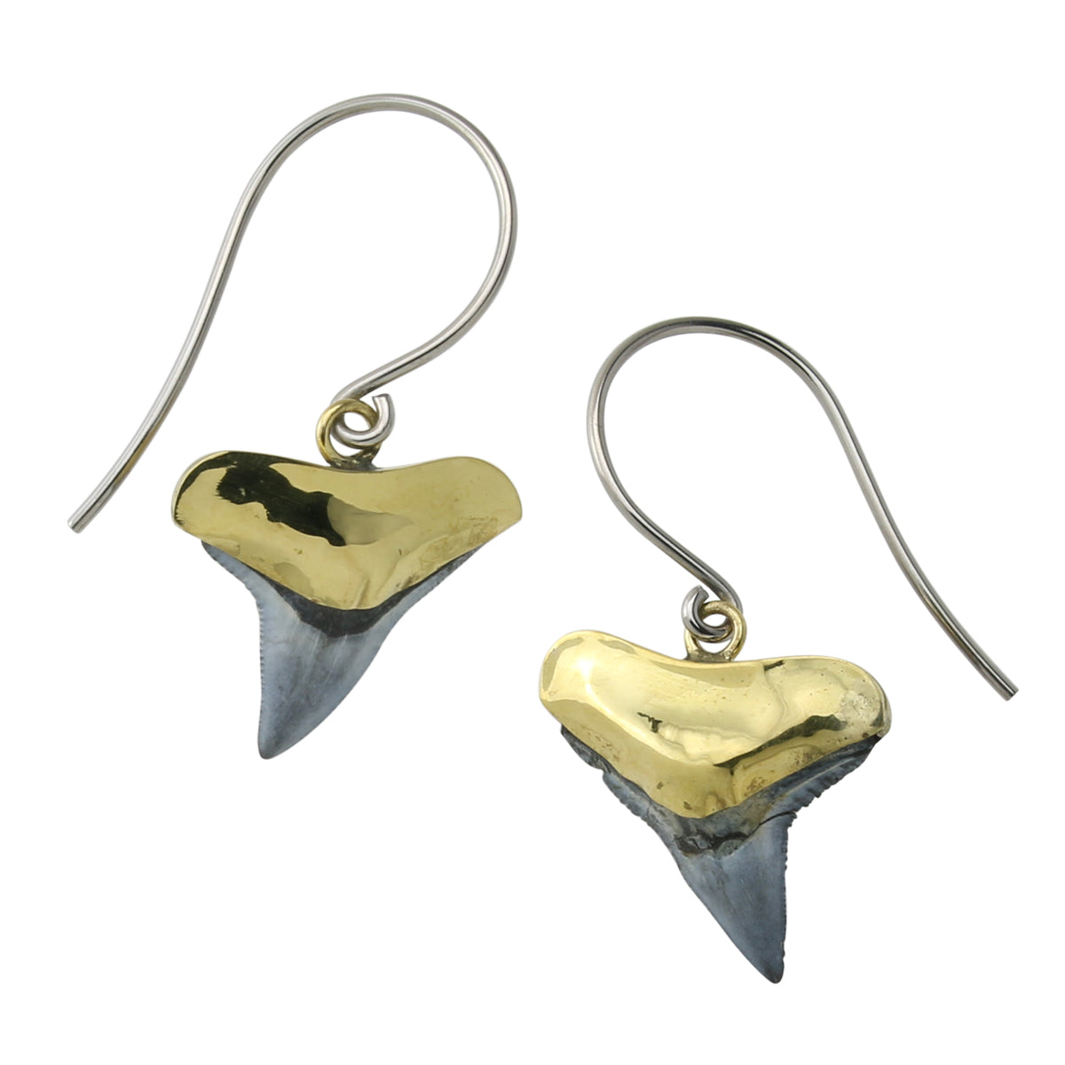 Fossilized Shark Tooth Titanium Dangle Brass Earrings by Urban Body Jewelry