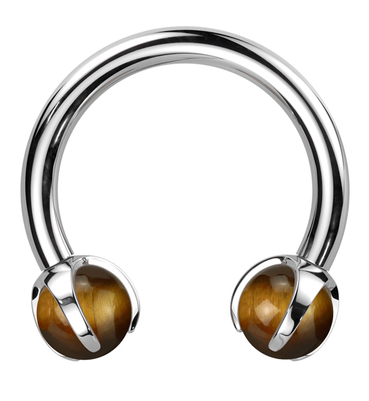 Claw Tiger Eye Titanium Internally Threaded Circular Barbell