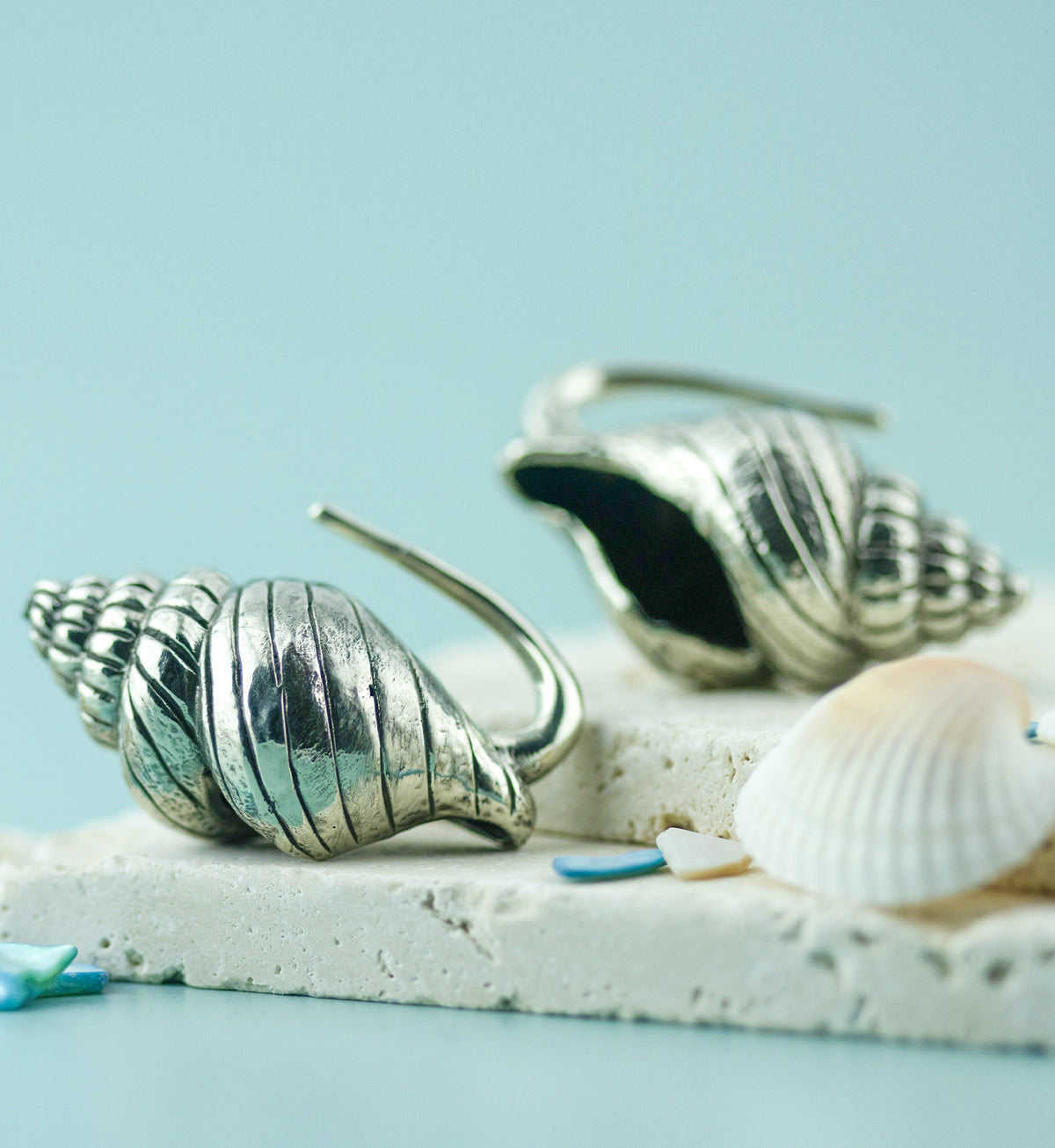 Conch Shell White Brass Ear Weights