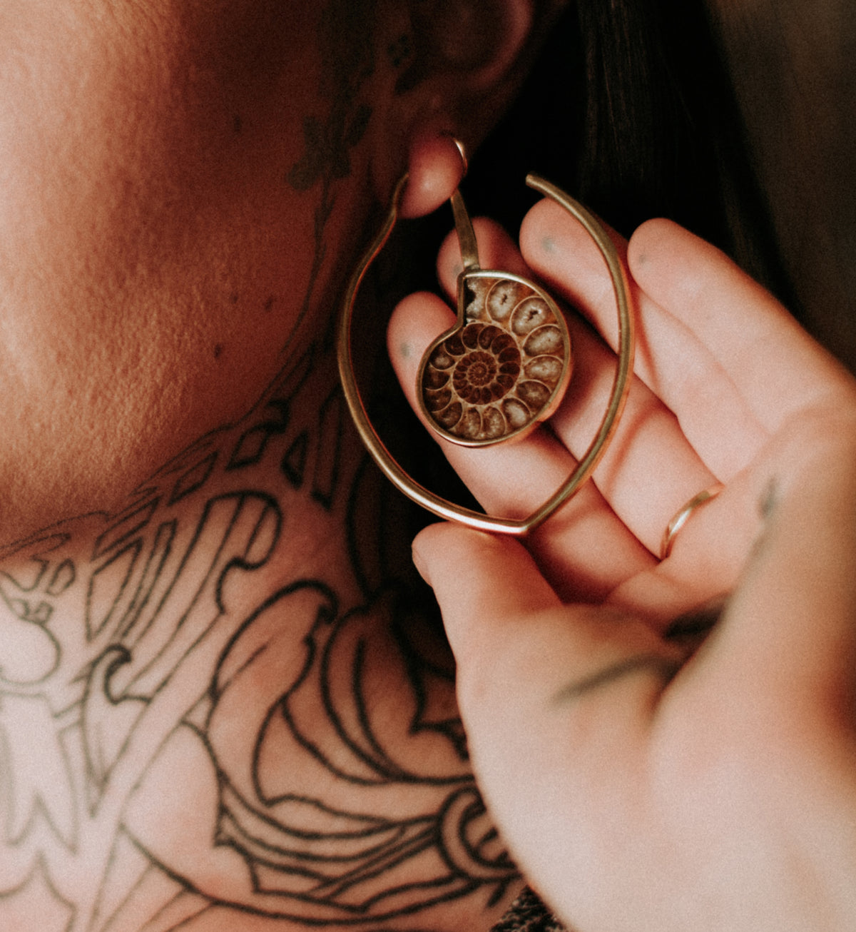 Drop Ammonite Fossil Teardrop Ear Weights