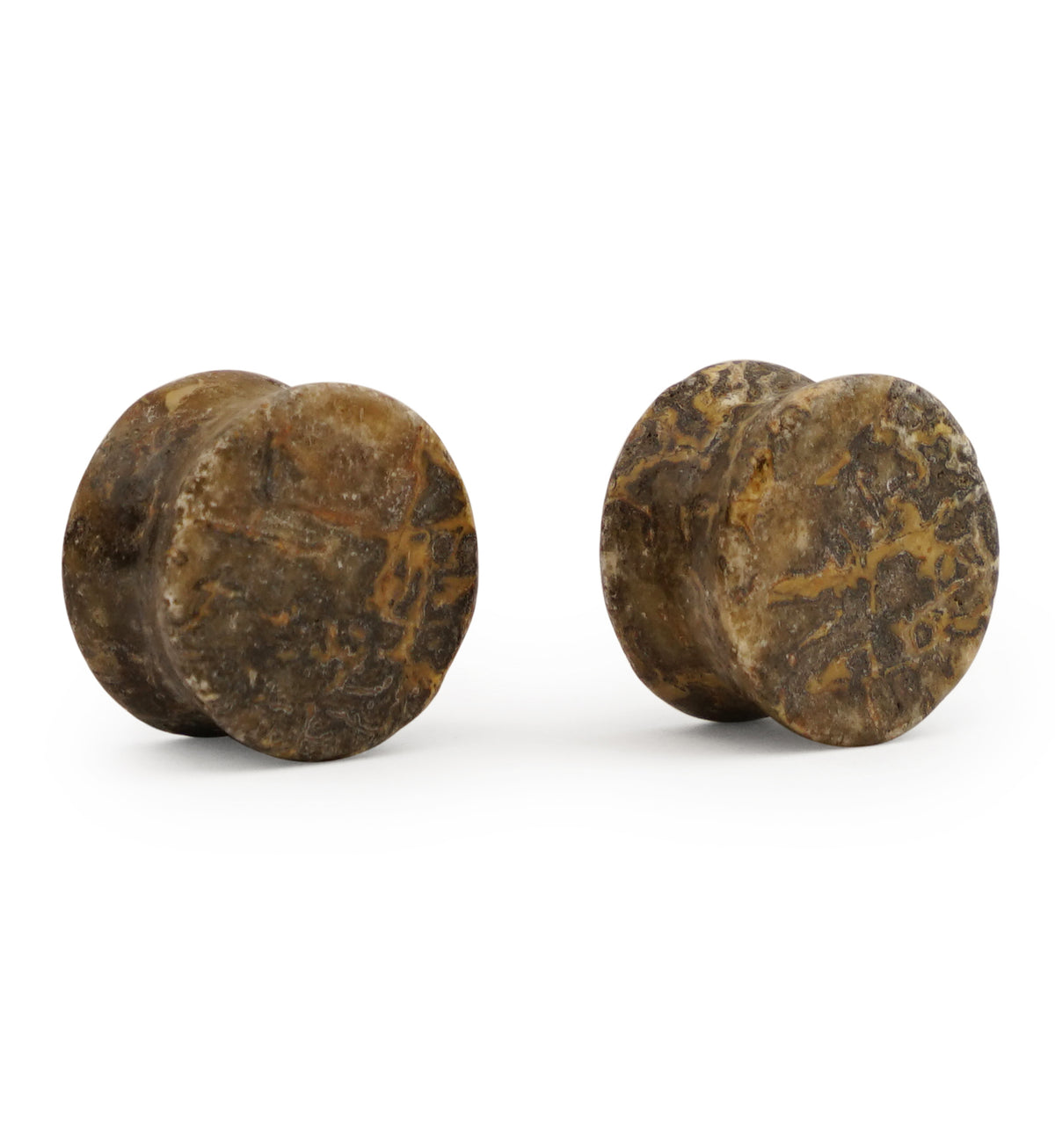 Fossilized Dinosaur Bone Plugs 5/8" (16mm) Version A1