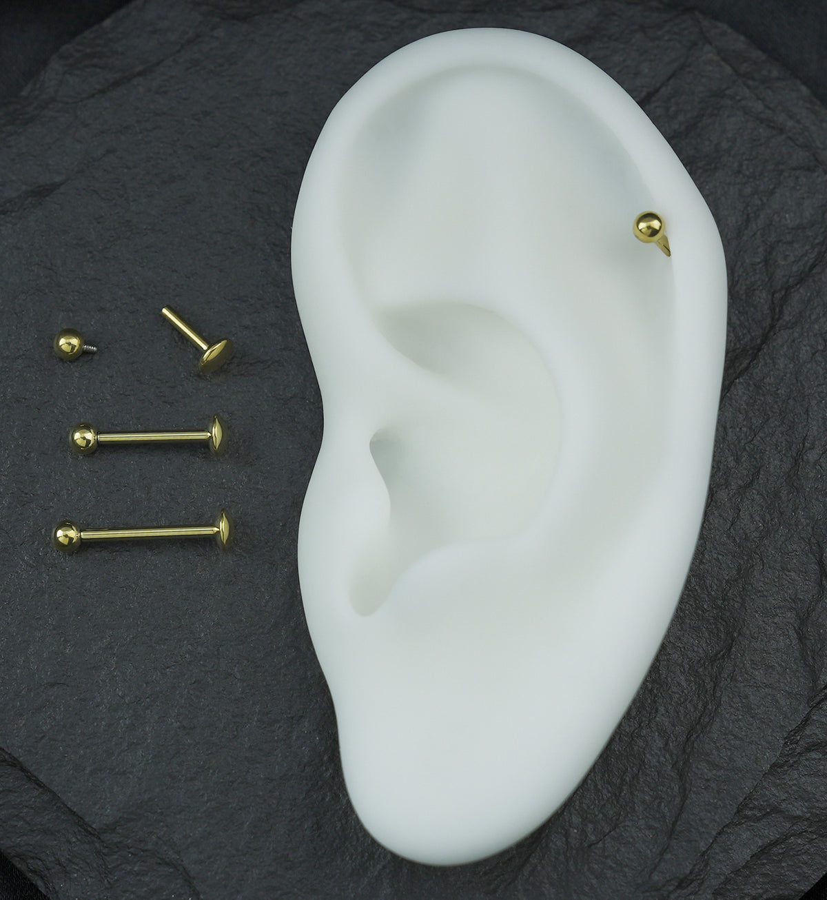 Gold PVD Ball Top Internally Threaded Titanium Convex Disk Labret