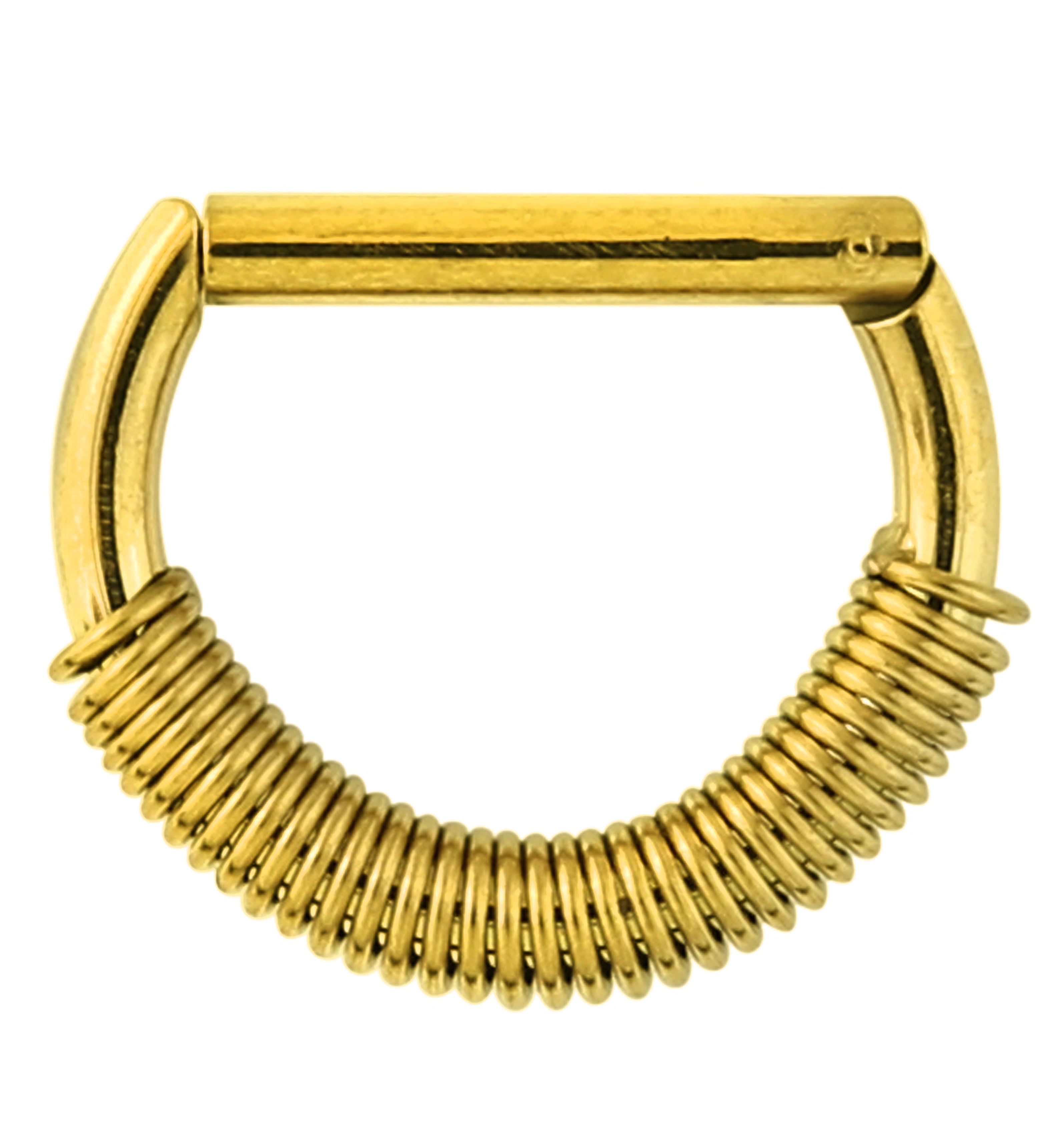 Gold PVD Coil D-Shaped Stainless Steel Hinged Segment Ring