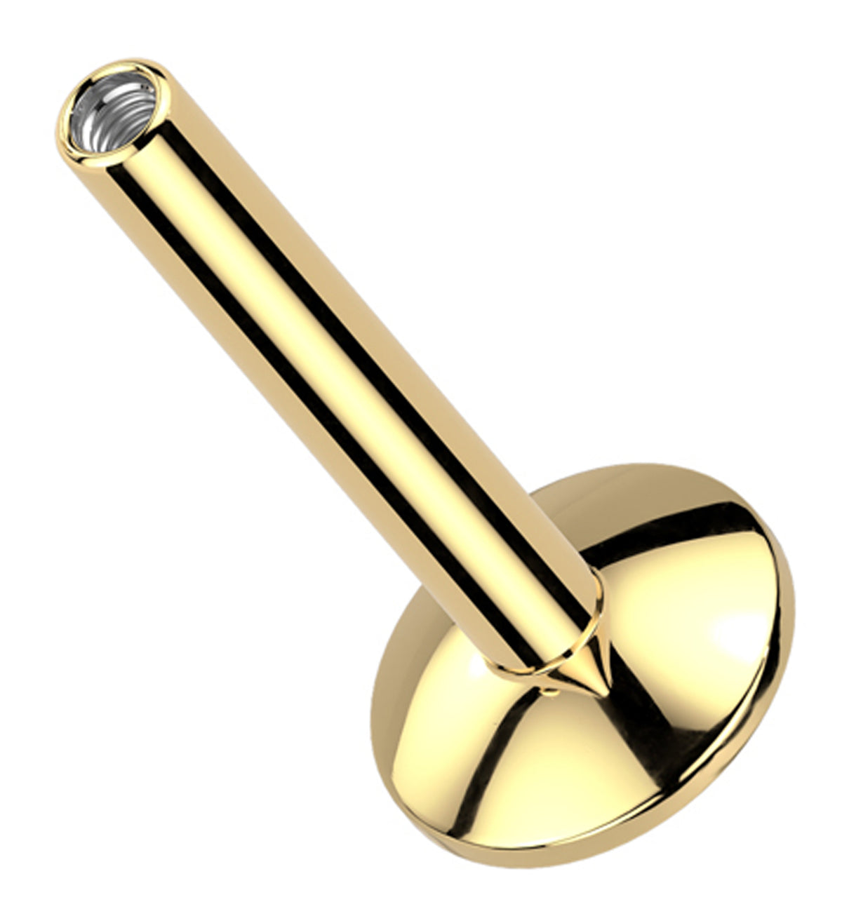 Gold PVD Internally Threaded Titanium Convex Back Labret (Post Only)