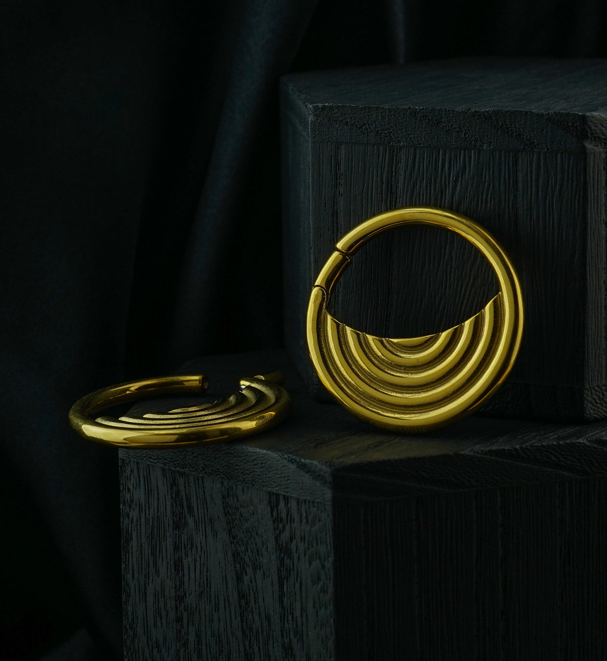 Gold PVD Radial Stainless Steel Hinged Ear Weights