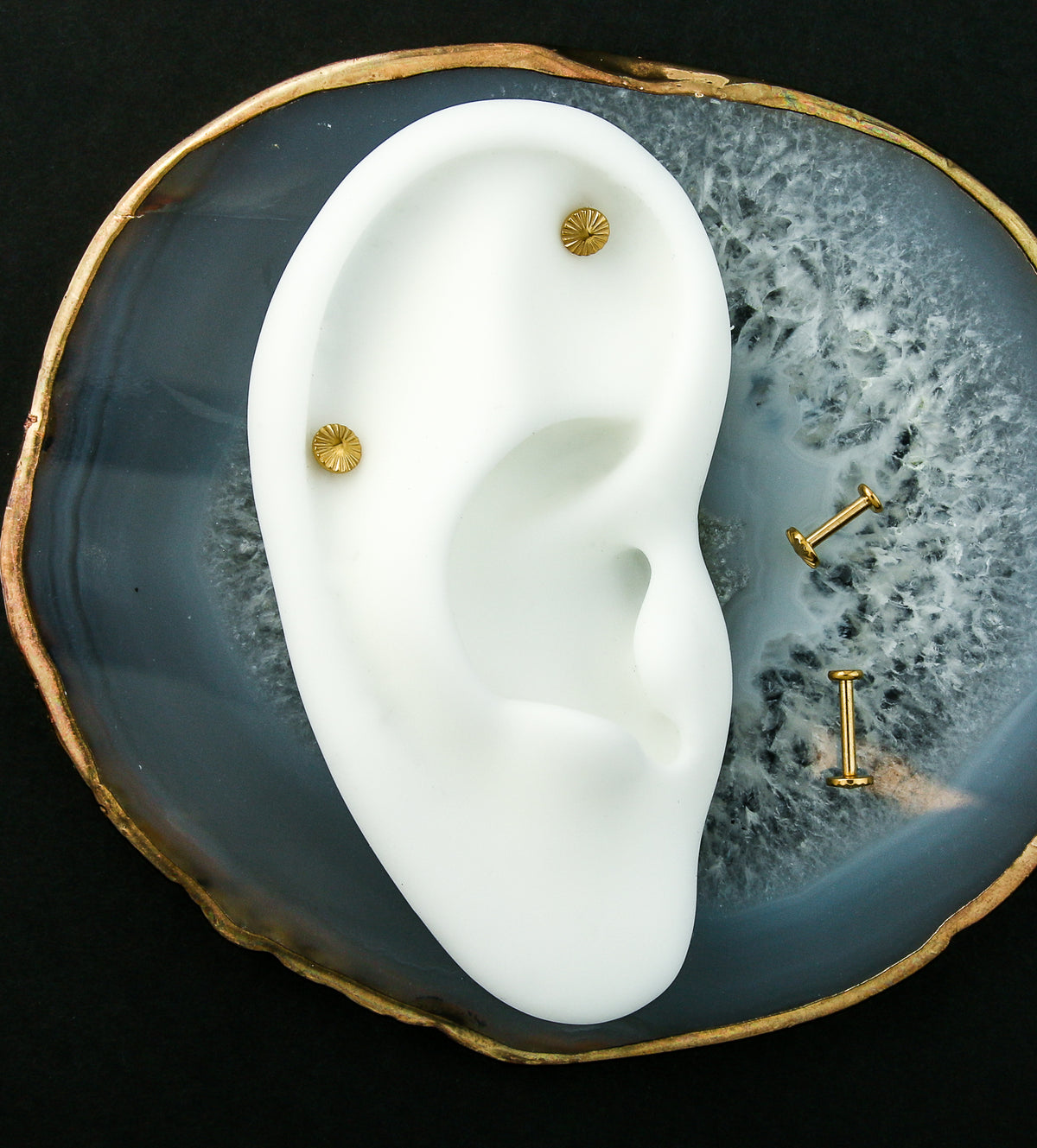Gold PVD Score Internally Threaded Titanium Labret