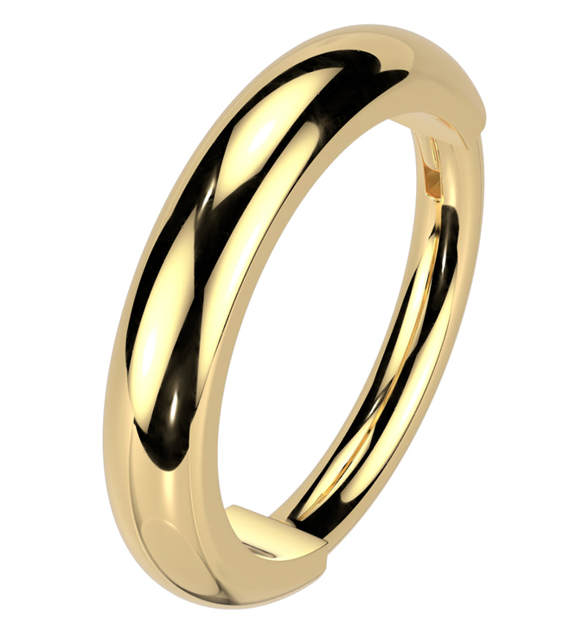 Gold PVD Thick Rim Titanium Hinged Segment Ring