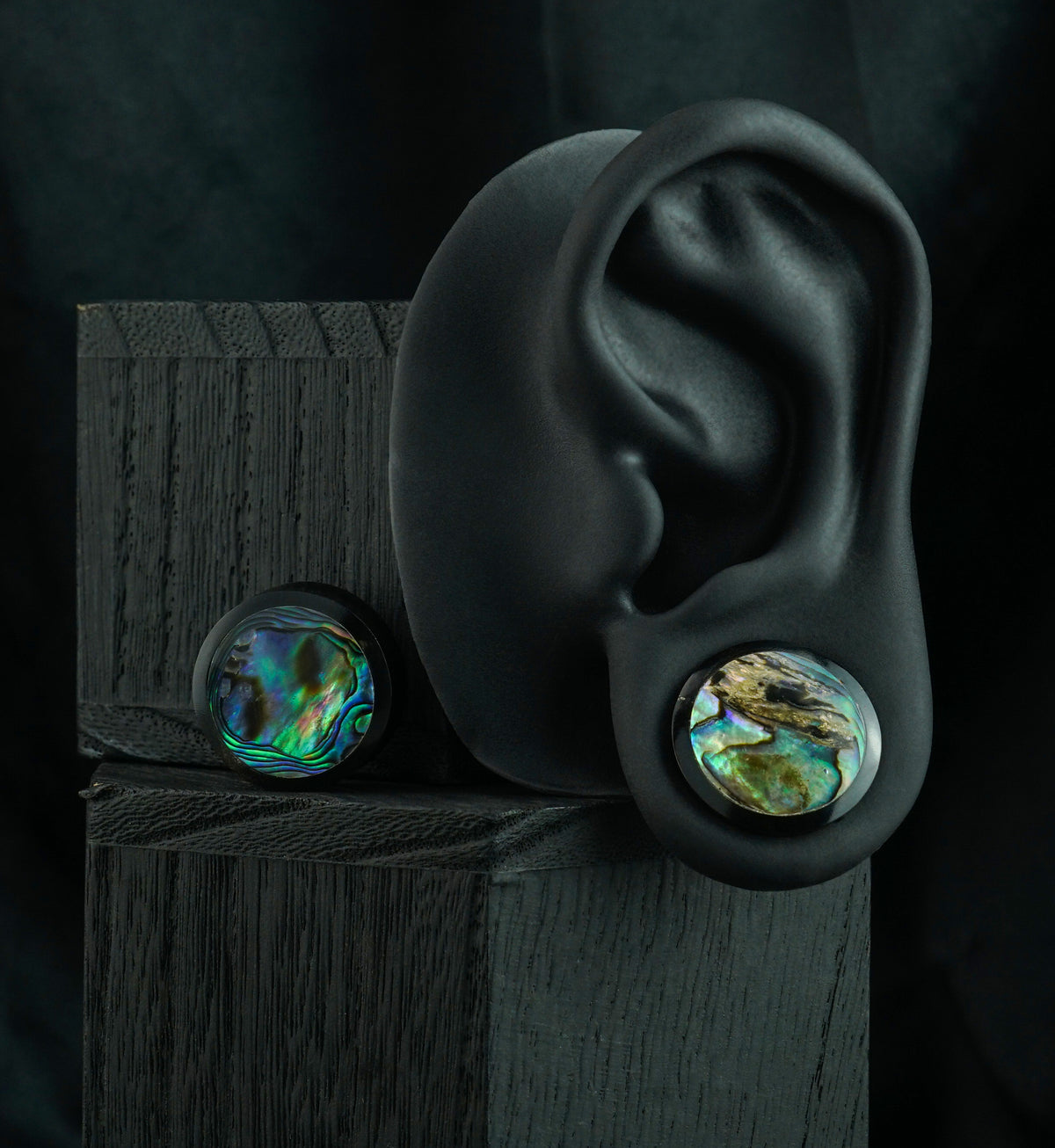 Horn Plugs With Abalone Shell Inlay