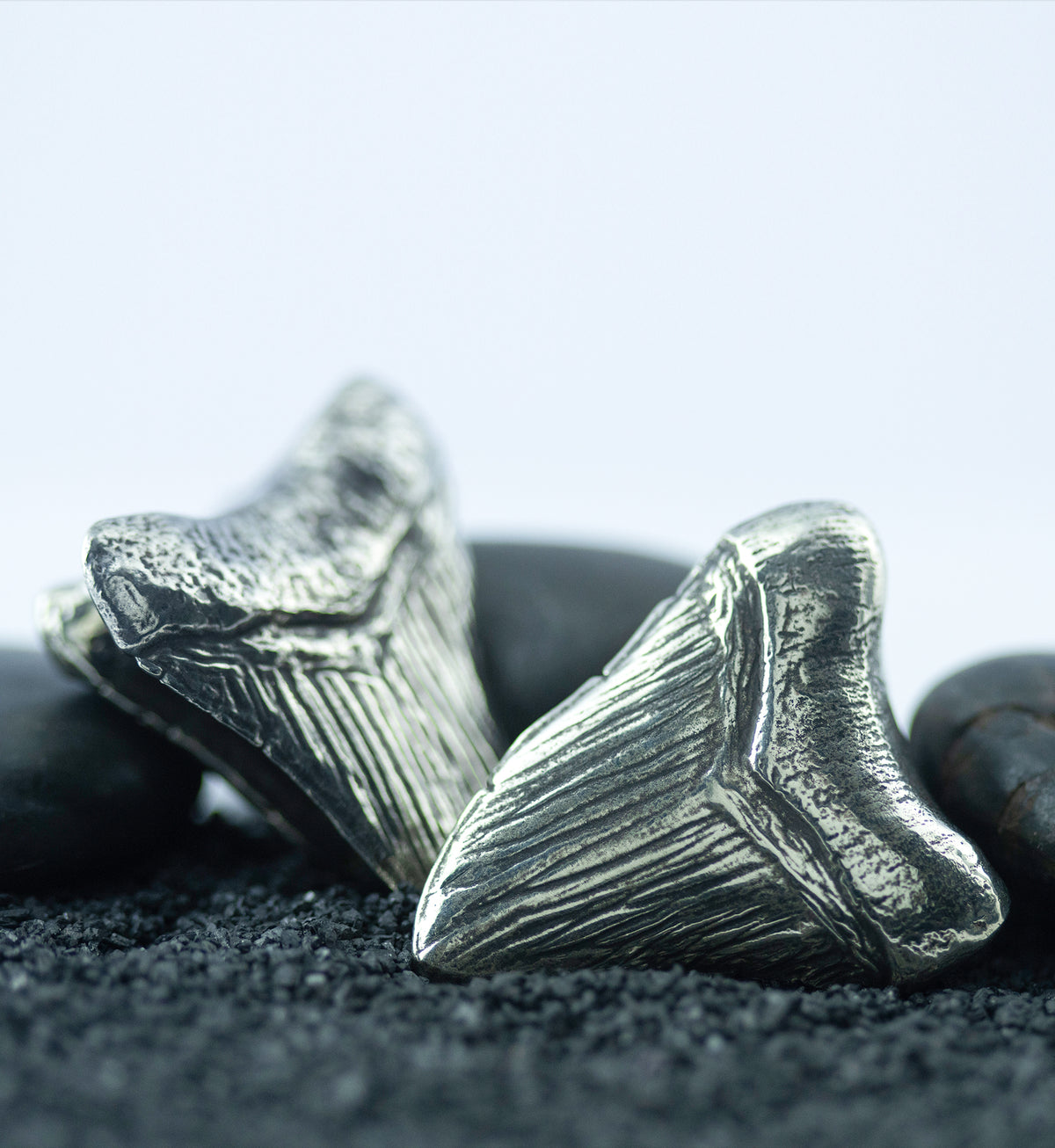 Megalodon White Brass Ear Weights
