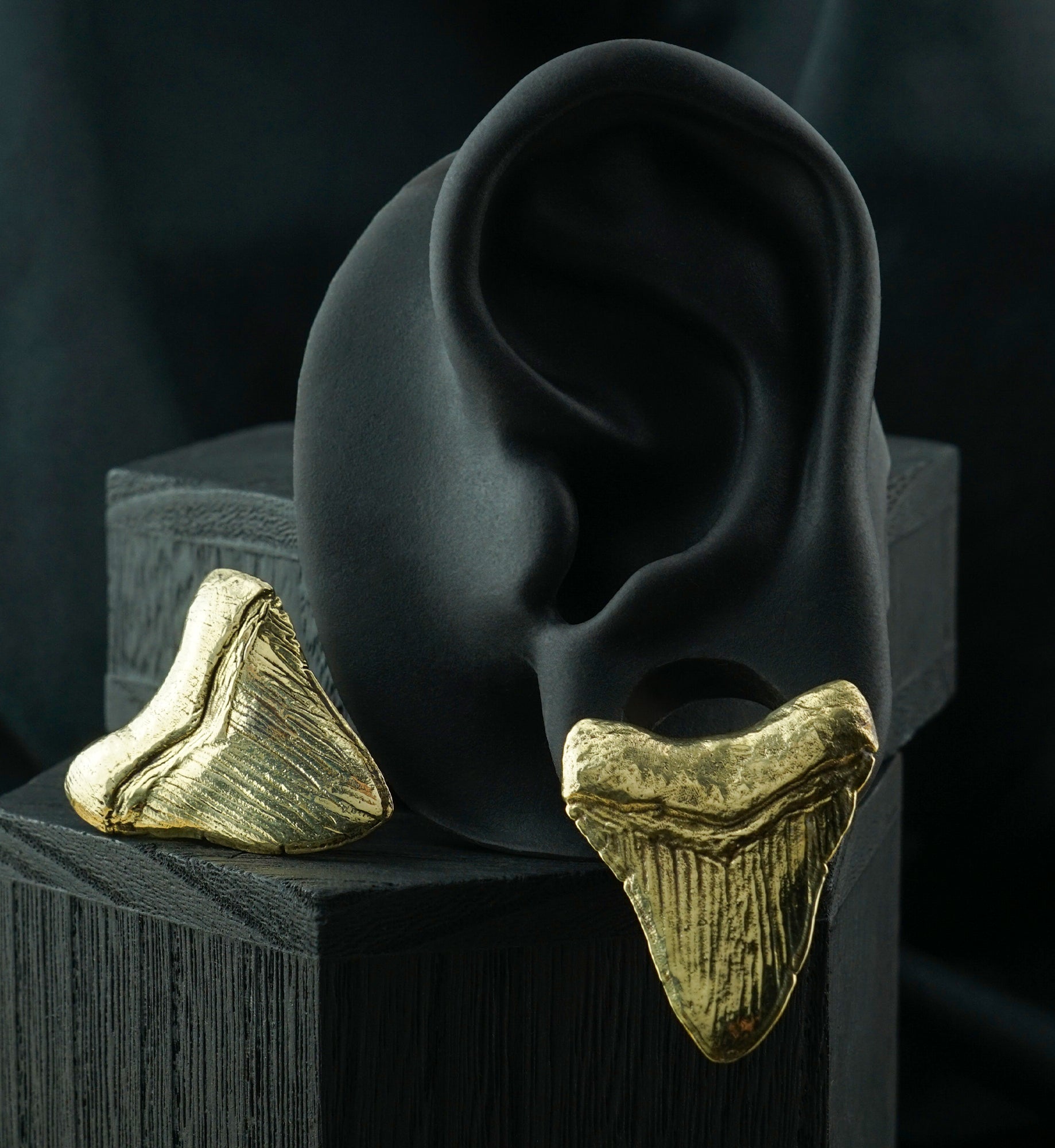 Megalodon Brass Ear Weights