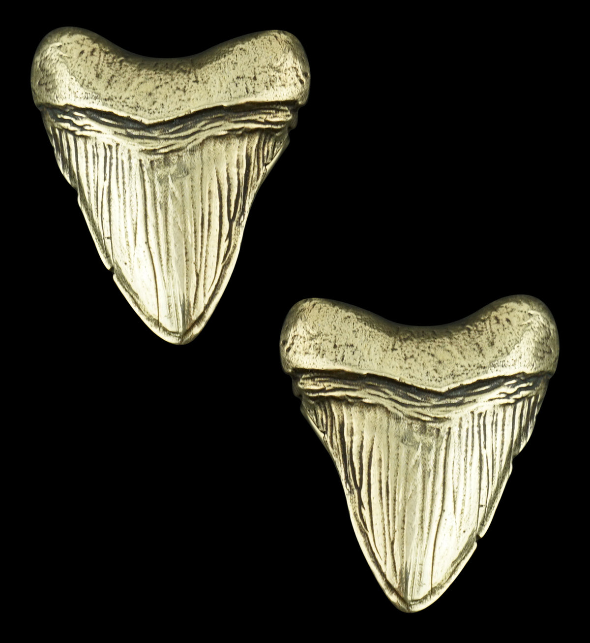 Megalodon Brass Ear Weights