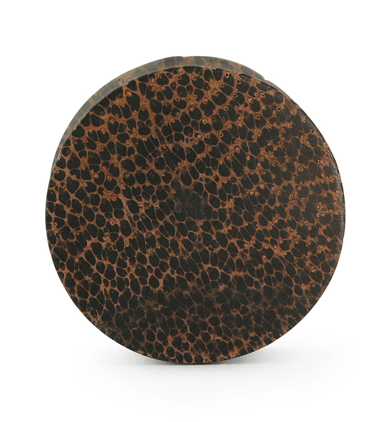 Palm Wood Plugs