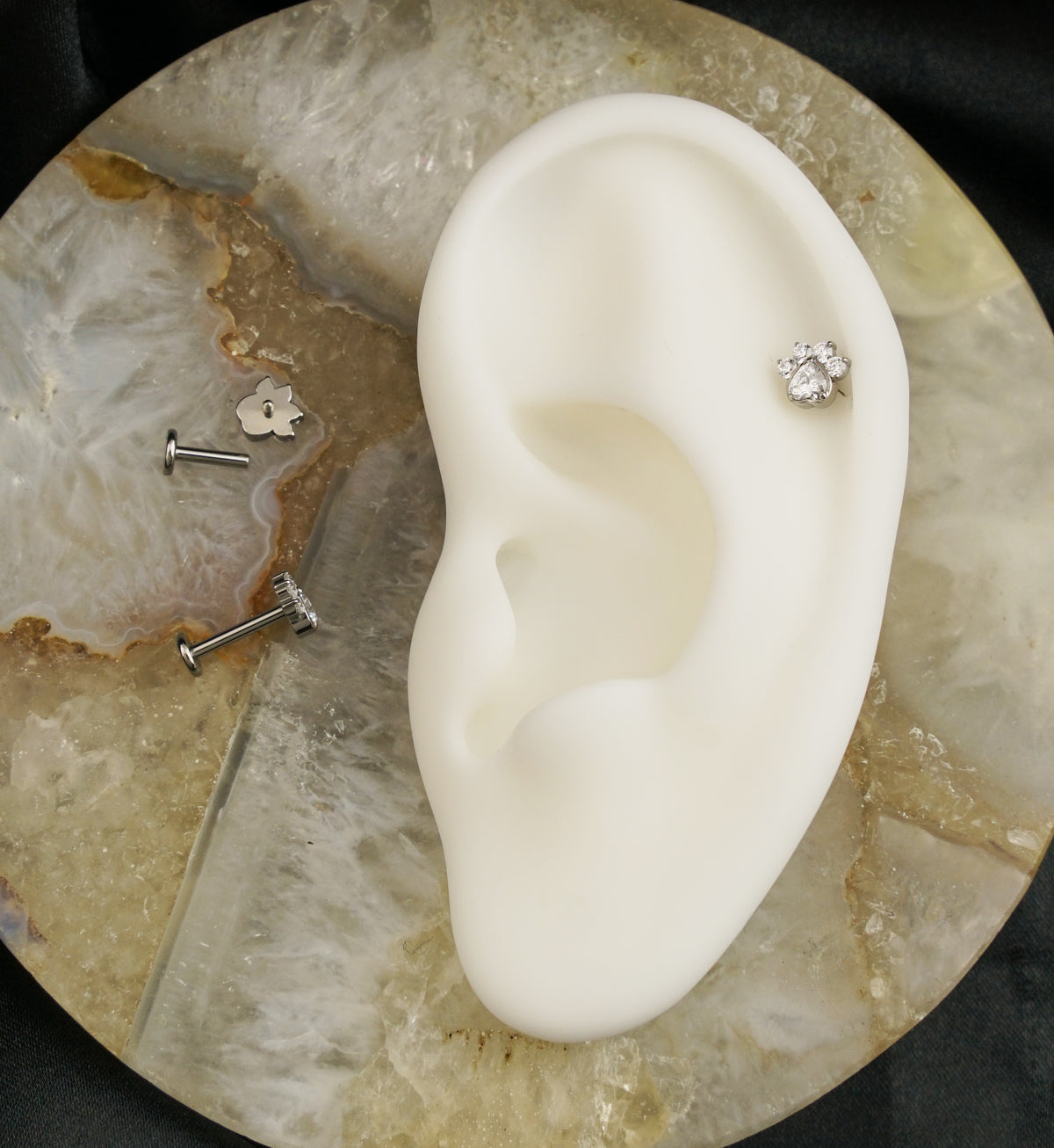 Paw Print Love Clear CZ Internally Threaded Titanium Labret