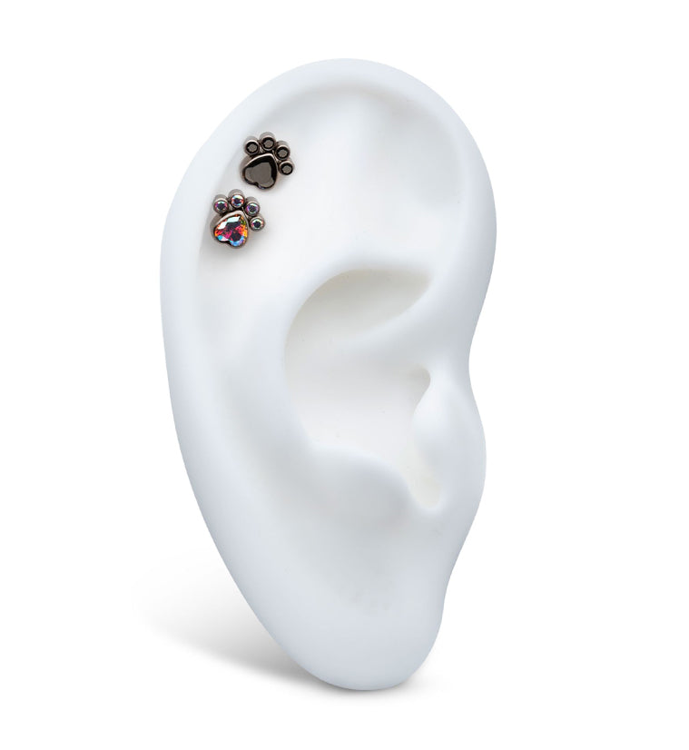 Paw Rainbow Aurora CZ Titanium Threadless Top
