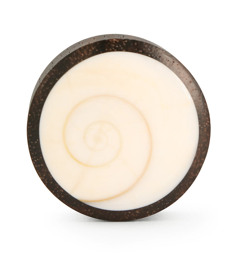 Spiral Sea Shell Inlay Wood Plugs