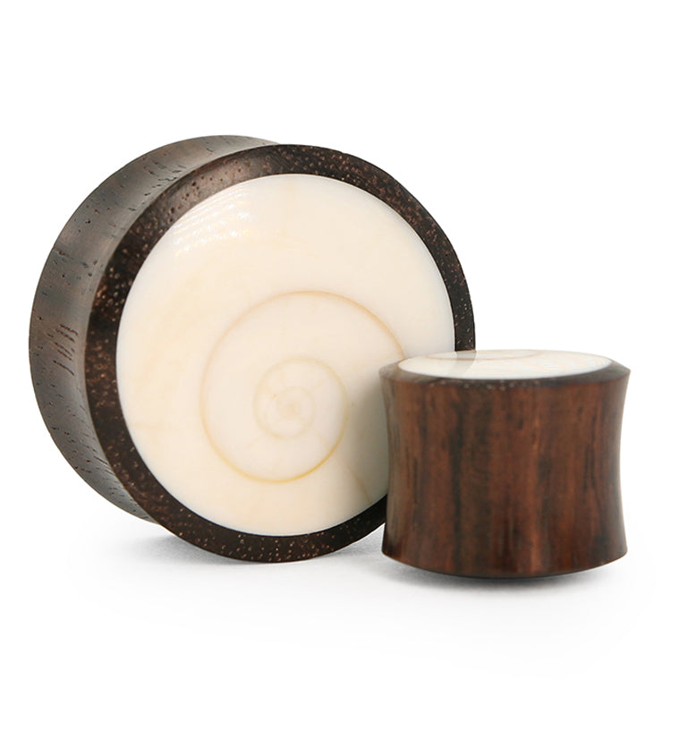Spiral Sea Shell Inlay Wood Plugs