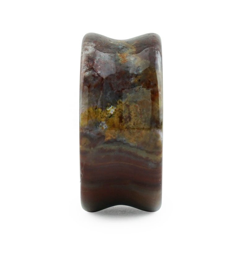 Serape Agate Stone Plugs