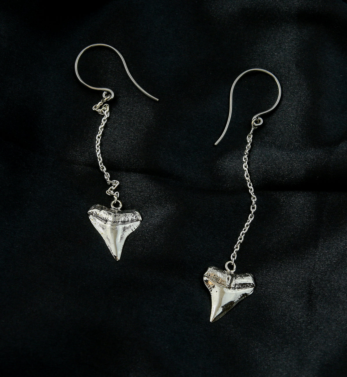 Shark Tooth White Brass Dangle Chain Titanium Earrings