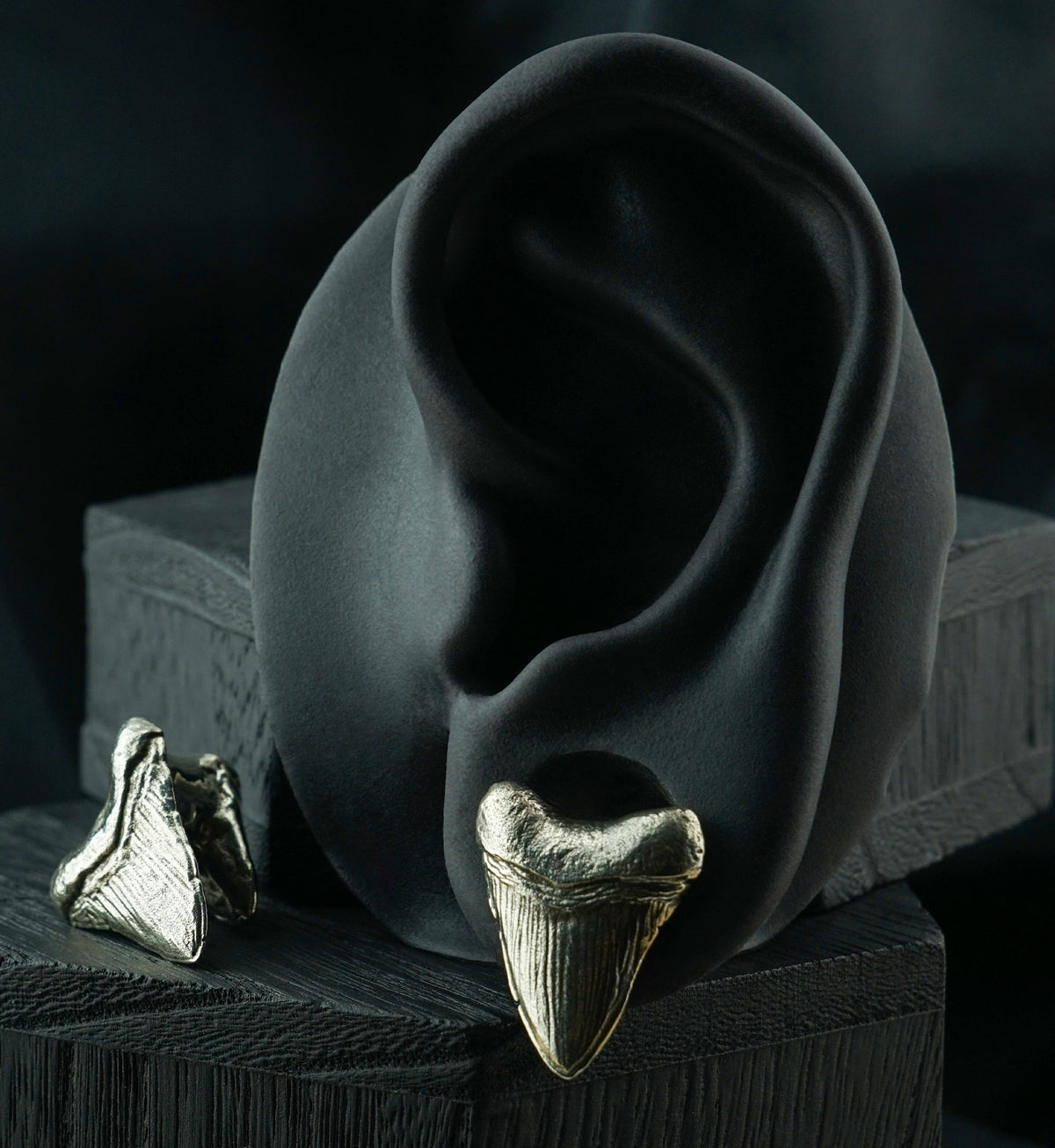 Megalodon White Brass Ear Weights