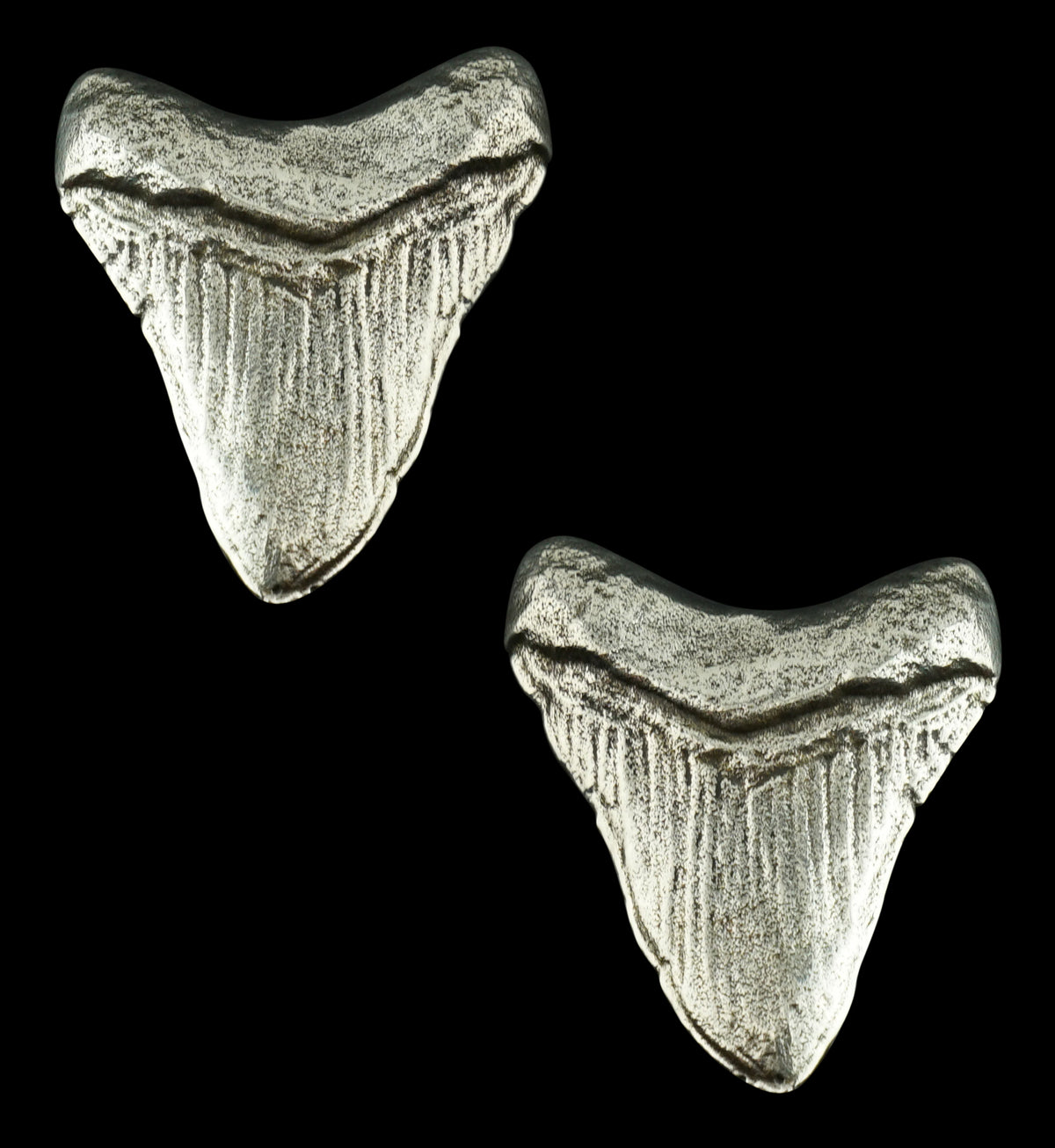 Megalodon White Brass Ear Weights