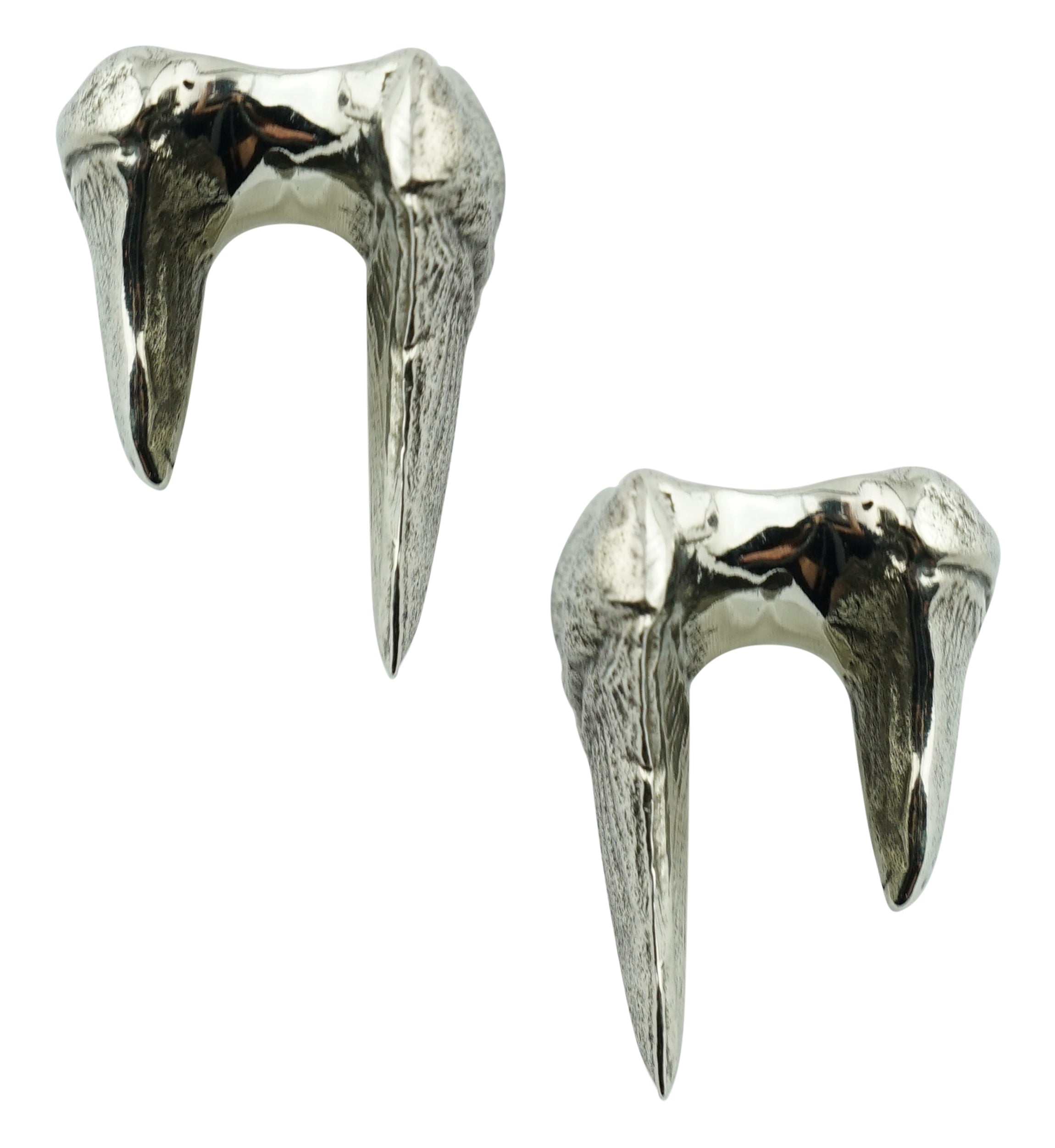 Megalodon White Brass Ear Weights
