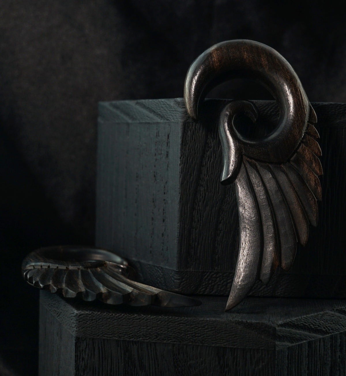 Wooden Feather Spiral Plugs