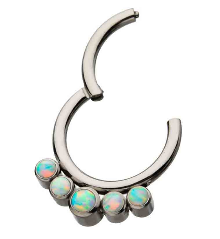 Titanium Hinged Multi Opalite Segment Ring