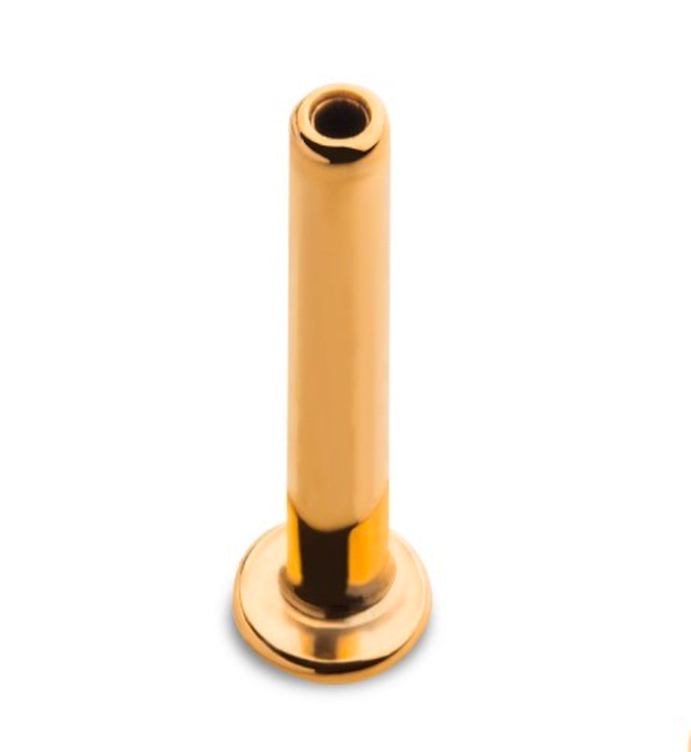 24kt Gold PVD 16G Titanium Threadless Labret (Back Only)