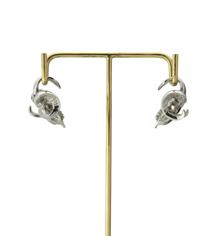 Bighorn White Brass Ear Weights