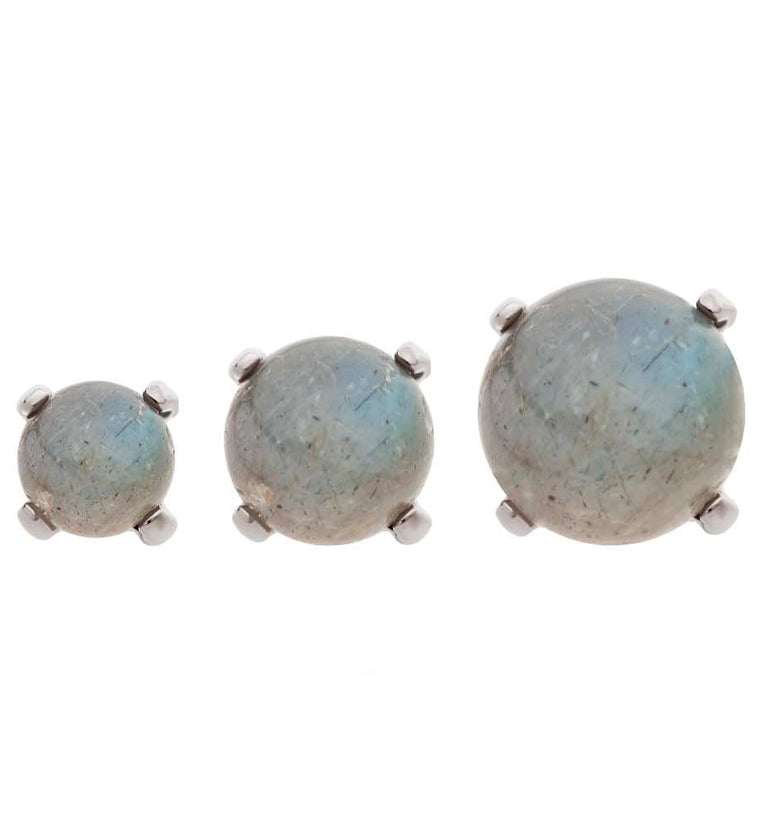 Prong Labradorite Stone Titanium Internally Threaded Top