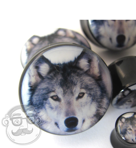Wold Plugs