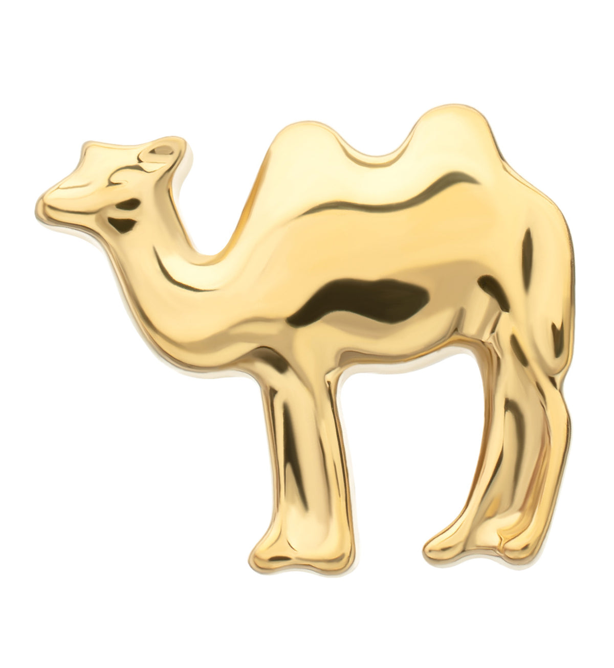 24kt Gold PVD Bactrian Camel Titanium Threadless Top