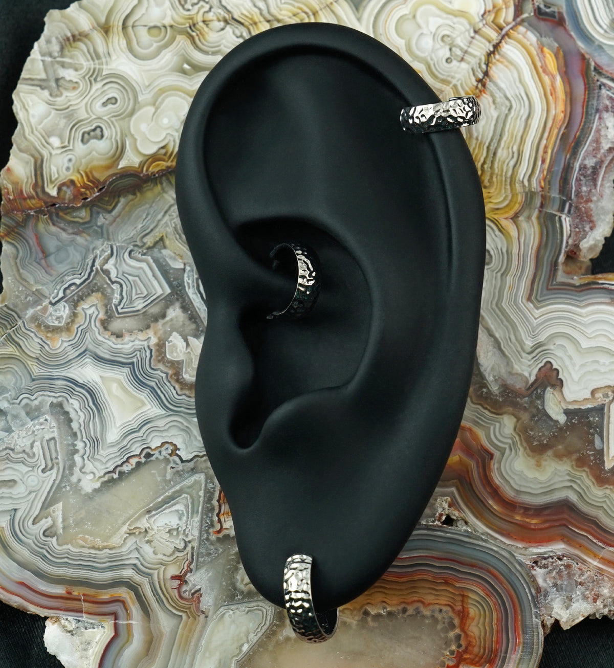 Anthozoan Titanium Hinged Segment Ring