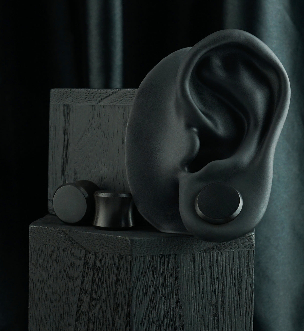 Areng Wood Plugs, shown in the lobe of a black display ear