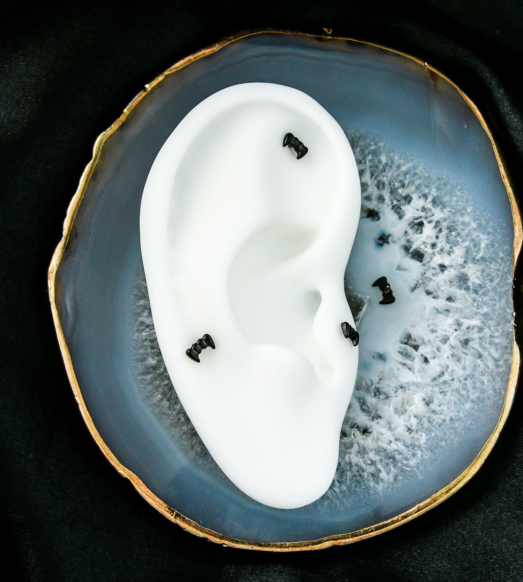 Black PVD Fangs Titanium Threadless Top