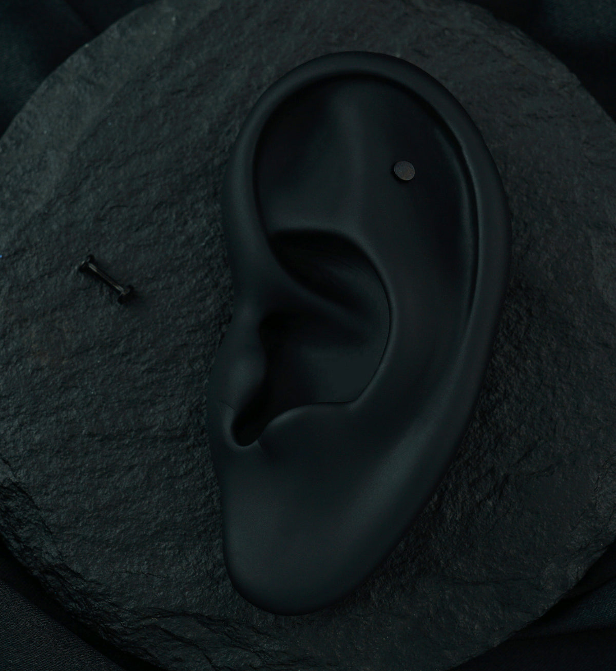 Black PVD Flat Disk Internally Threaded Titanium Labret
