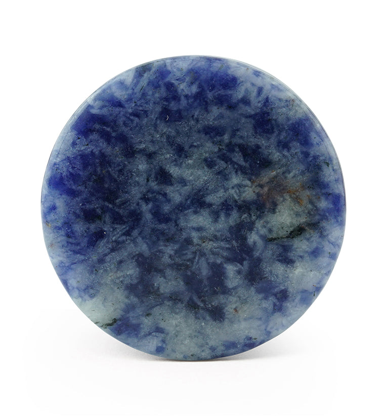 Blue Spot Jasper Stone Plugs