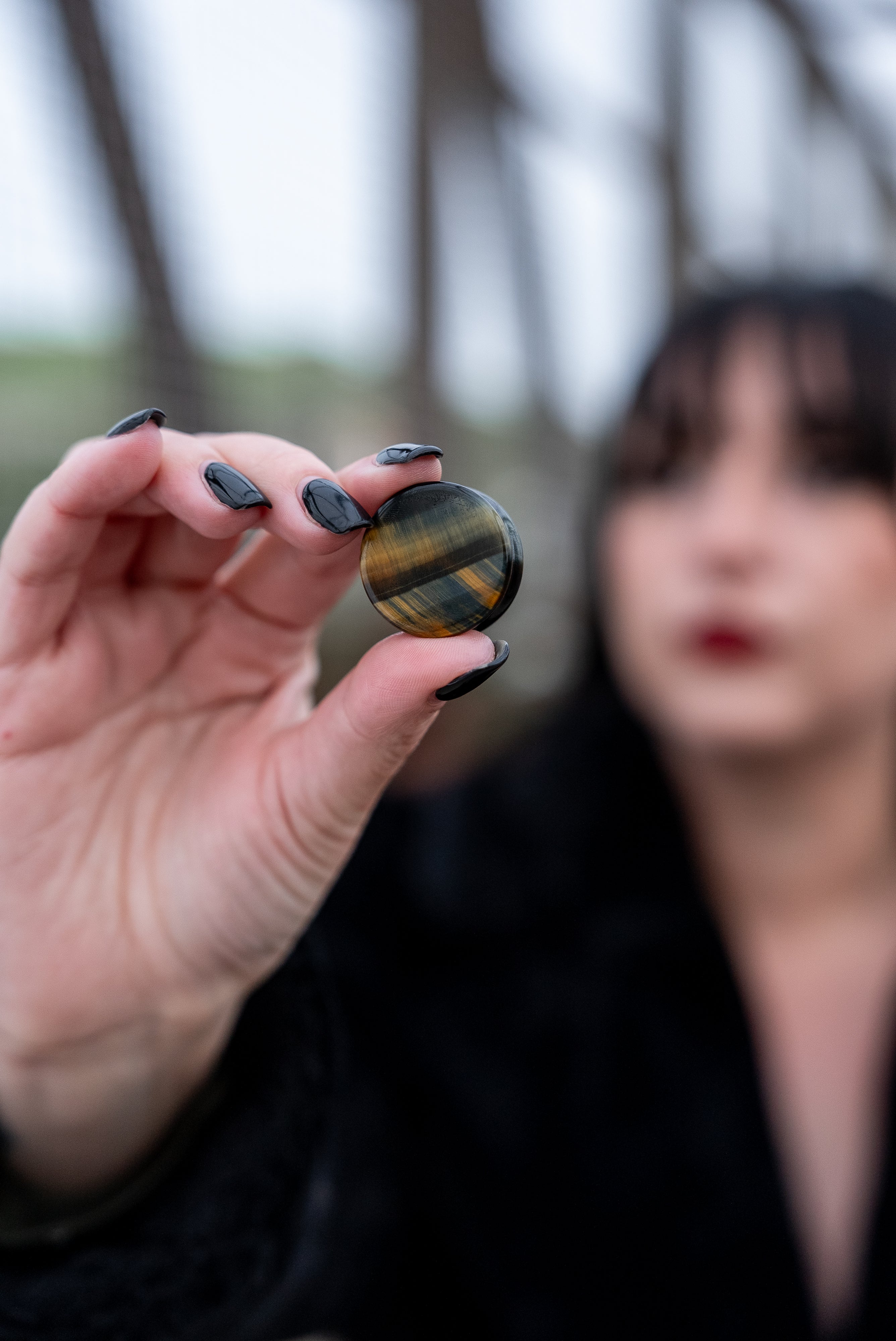 Blue Tigers Eye Stone Plugs