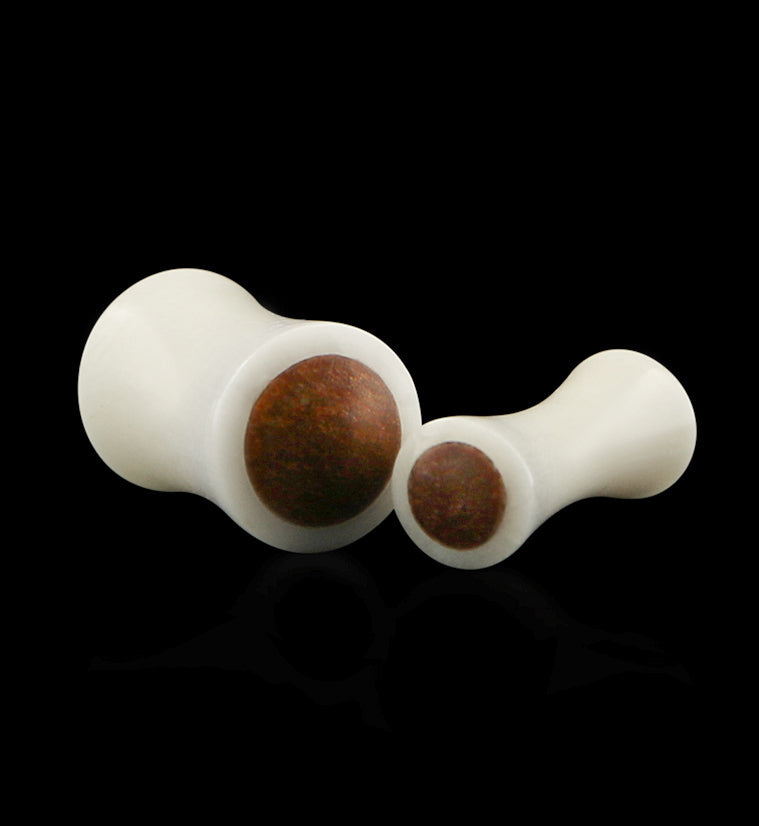 Bone Plugs with Saba Wood Inlay