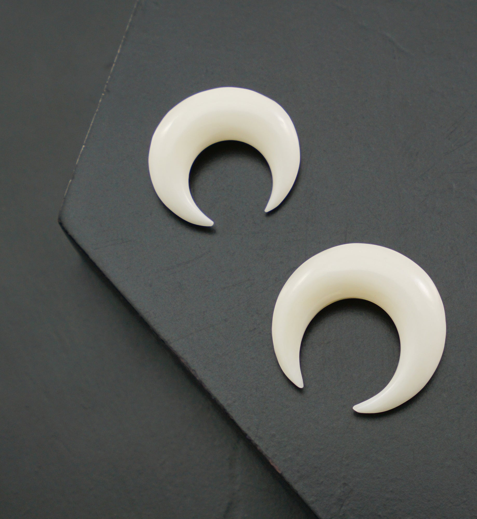 Bone Septum Pincher