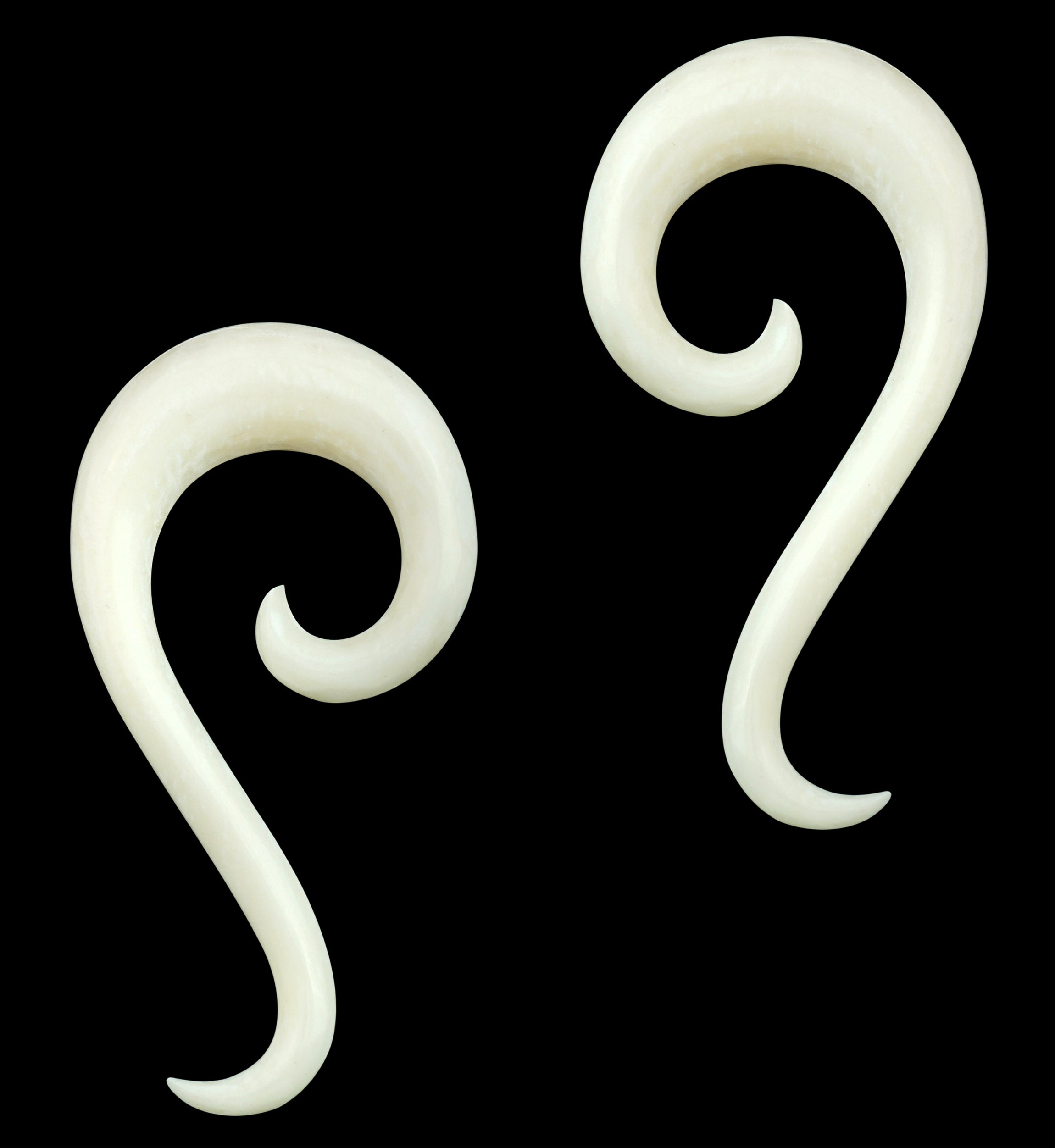 Bone Tail Spirals